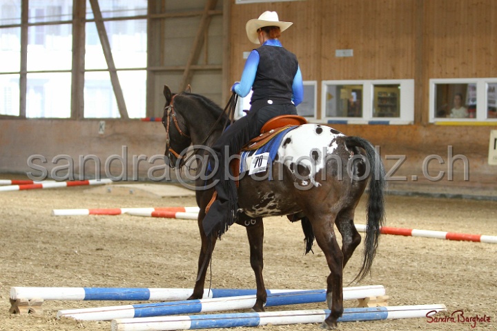 26-ApHC GT_127.jpg